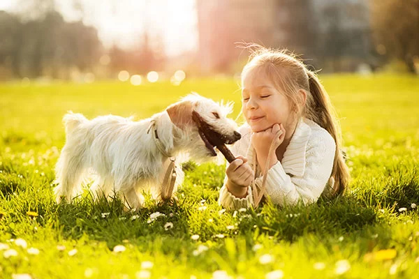Happy dog cared for by a veterinarian near Flint, TX
