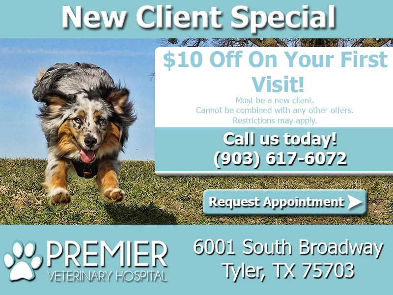 PremierVetHospitalNewClientSpecial