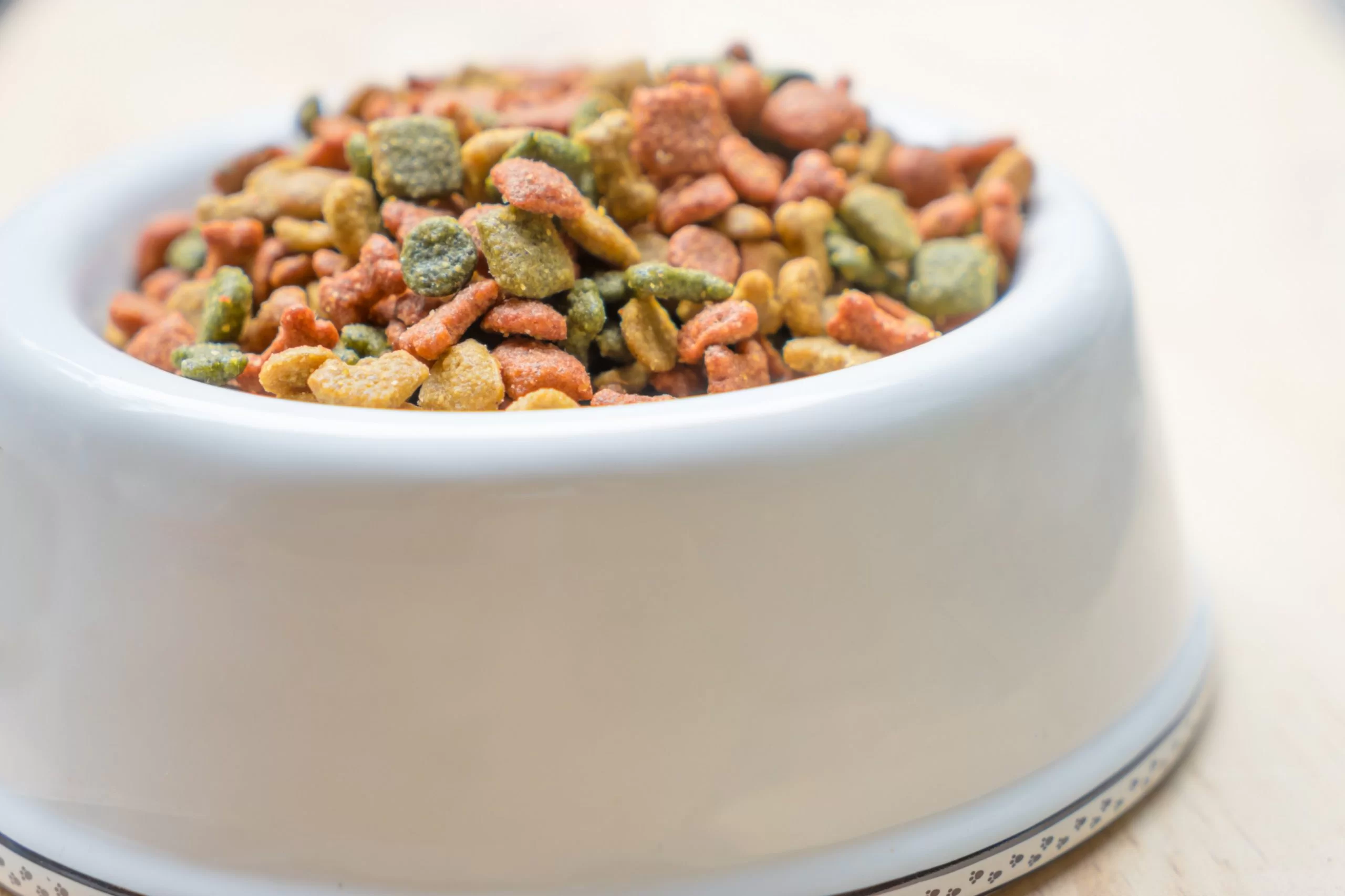 Pet nutrition counseling in Tyler, TX