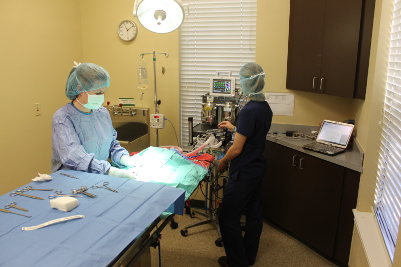 Surgery in Tyler, TX Premier Veterinary Hospital