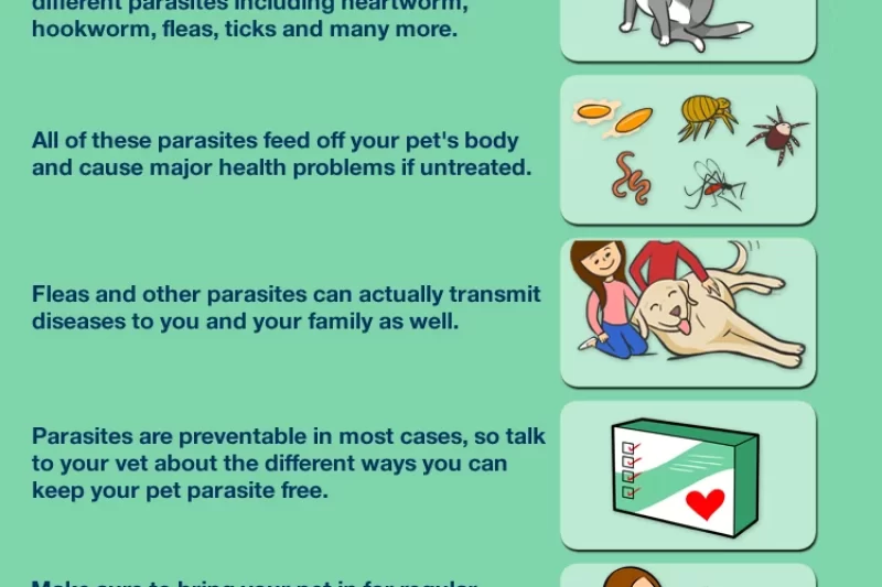 Heartworm Prevention