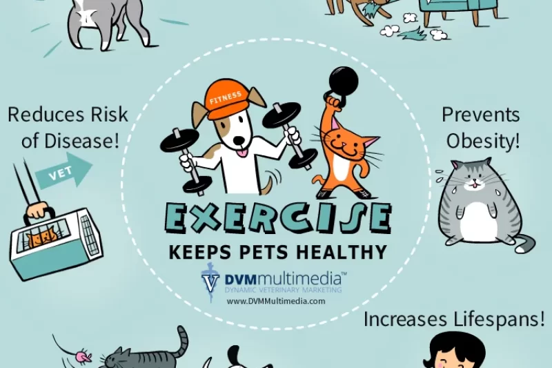 Newsletters - Veterinary Tyler
