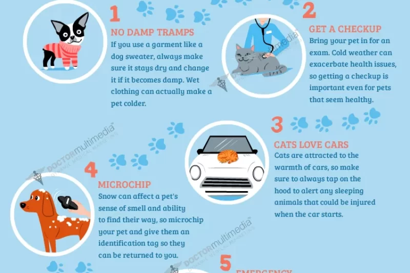 10 Cold Weather Pet Safety Tips
