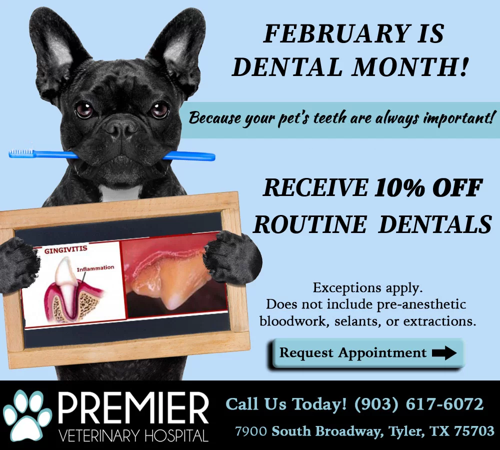 Premier Veterinary Hospital on South Broadway near Bullard, TX