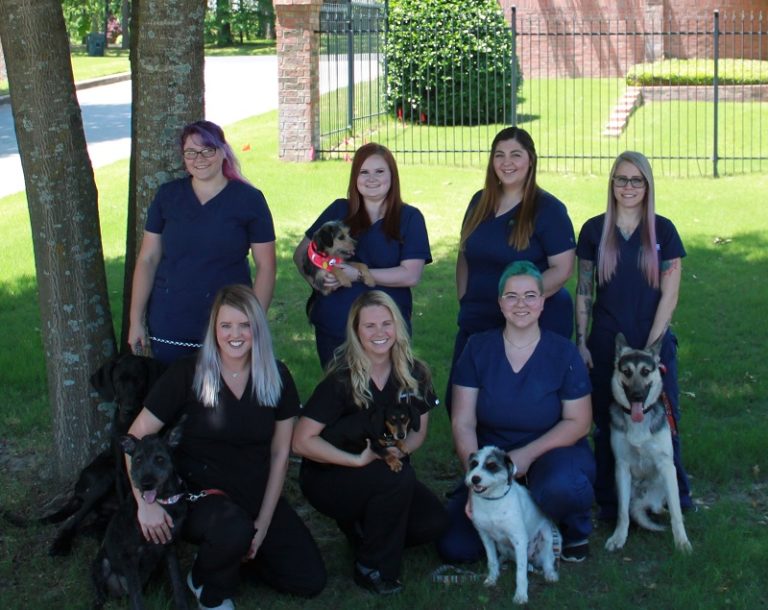 About Tyler Veterinarian Premier Veterinary Hospital