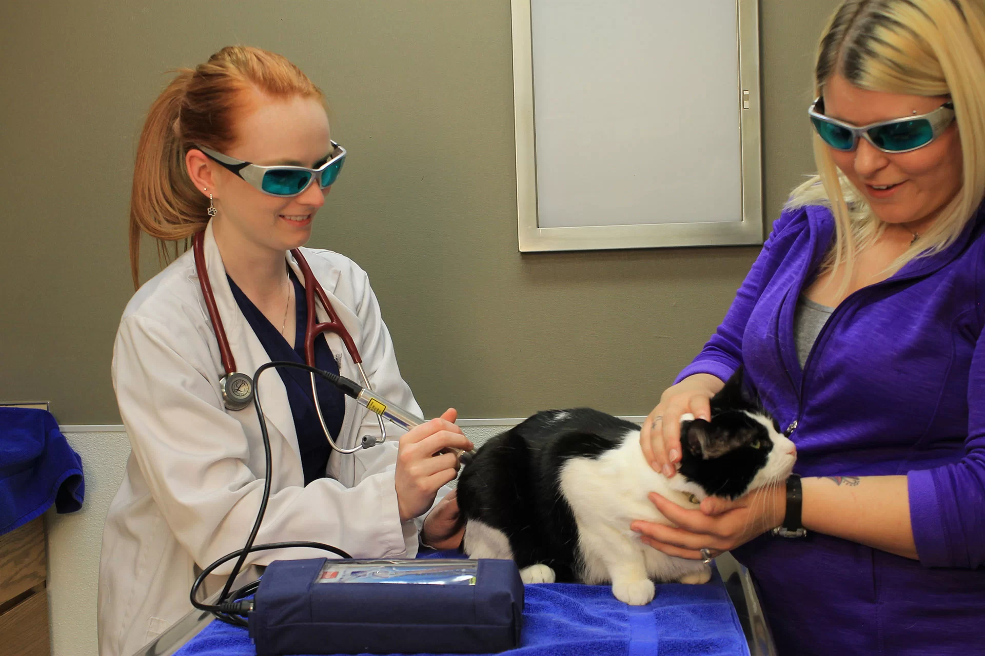 Laser Therapy