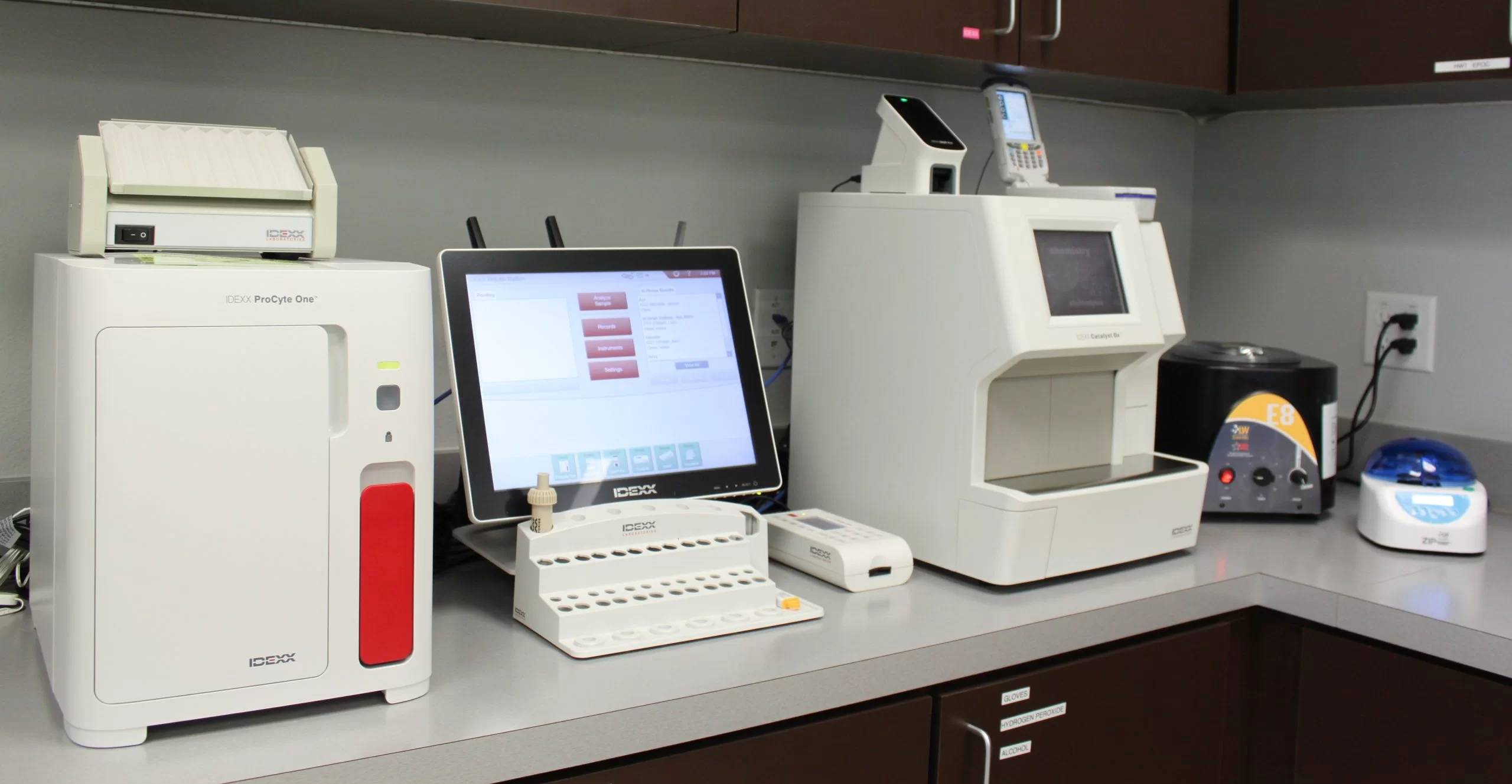 Veterinary diagnostic testing at Premier Veterinary Hospital in Tyler, TX