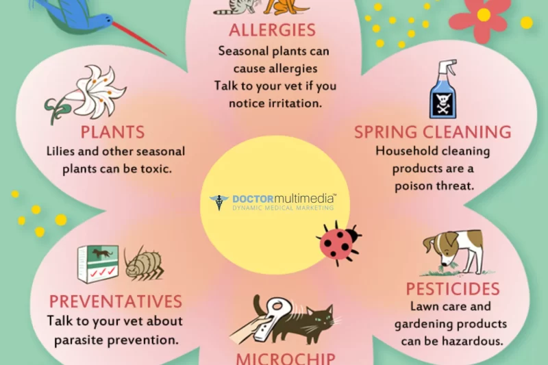Spring Pet Care Safety