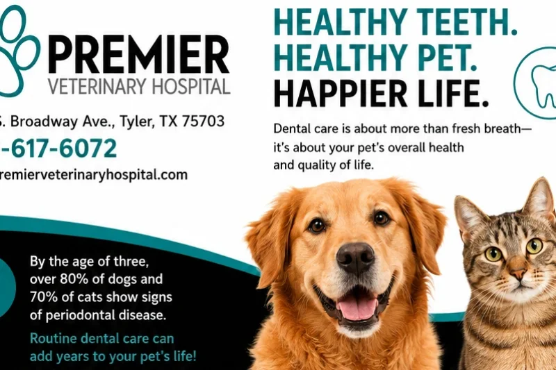 Heat Stroke in Dogs: A Life-Threatening Emergency Every Pet Owner Should Know About - Veterinary Tyler