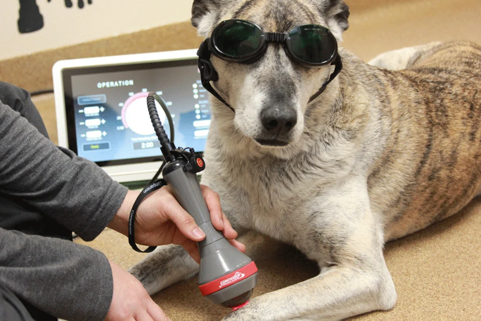 Laser Therapy