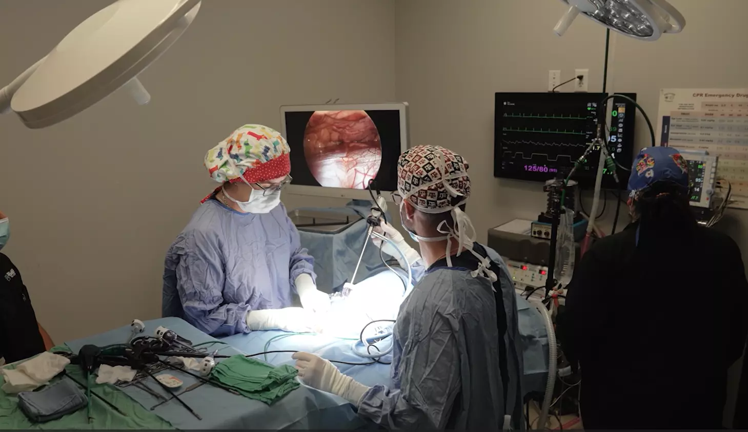 Veterinary surgery at Premier Veterinary Hospital in Tyler, TX