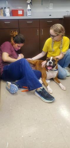 Nail Trim