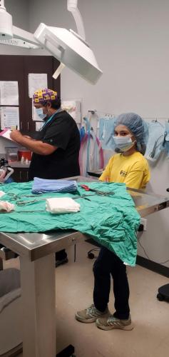 Surgery