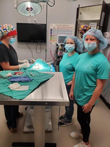 Surgery3
