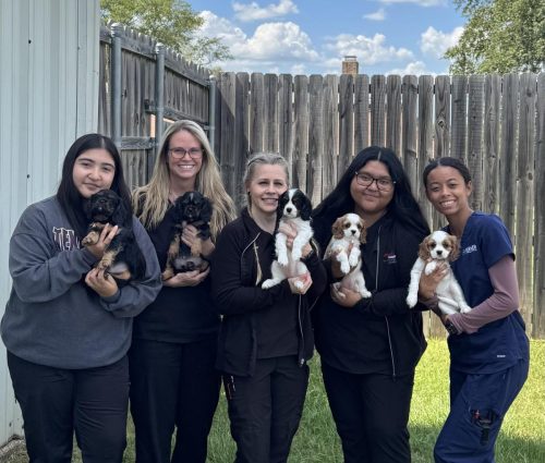 group-with-puppy